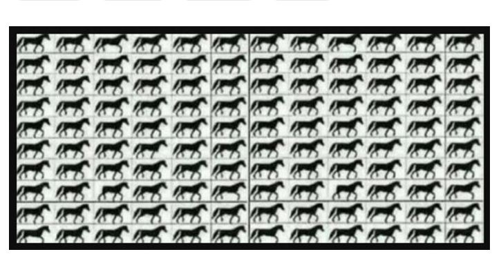 Mennyire vagy sasszem: Hány darab három lábú lovat veszel észre a 120 ló közül?