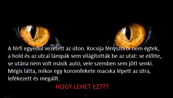 Az emberek kevesebb mint 5%-a tudja csak, miért látta meg a férfi a koromfekete macskát: te rájössz a titok nyitjára?