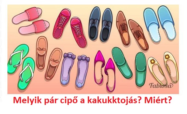 Ez a rejtvény még sok nagyokost is lóvá tesz: te rájöttél, melyik pár cipő a kakukktojás?