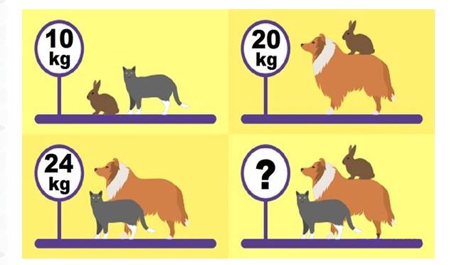 20-ból 17-en rossz választ adnak: te eltalálod, melyik szám kerül a kérdőjel helyére?