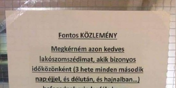 Durva levelet találtam a lépcsőházban: mikor végigolvastam, fülig belepirultam